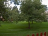 View from back porch